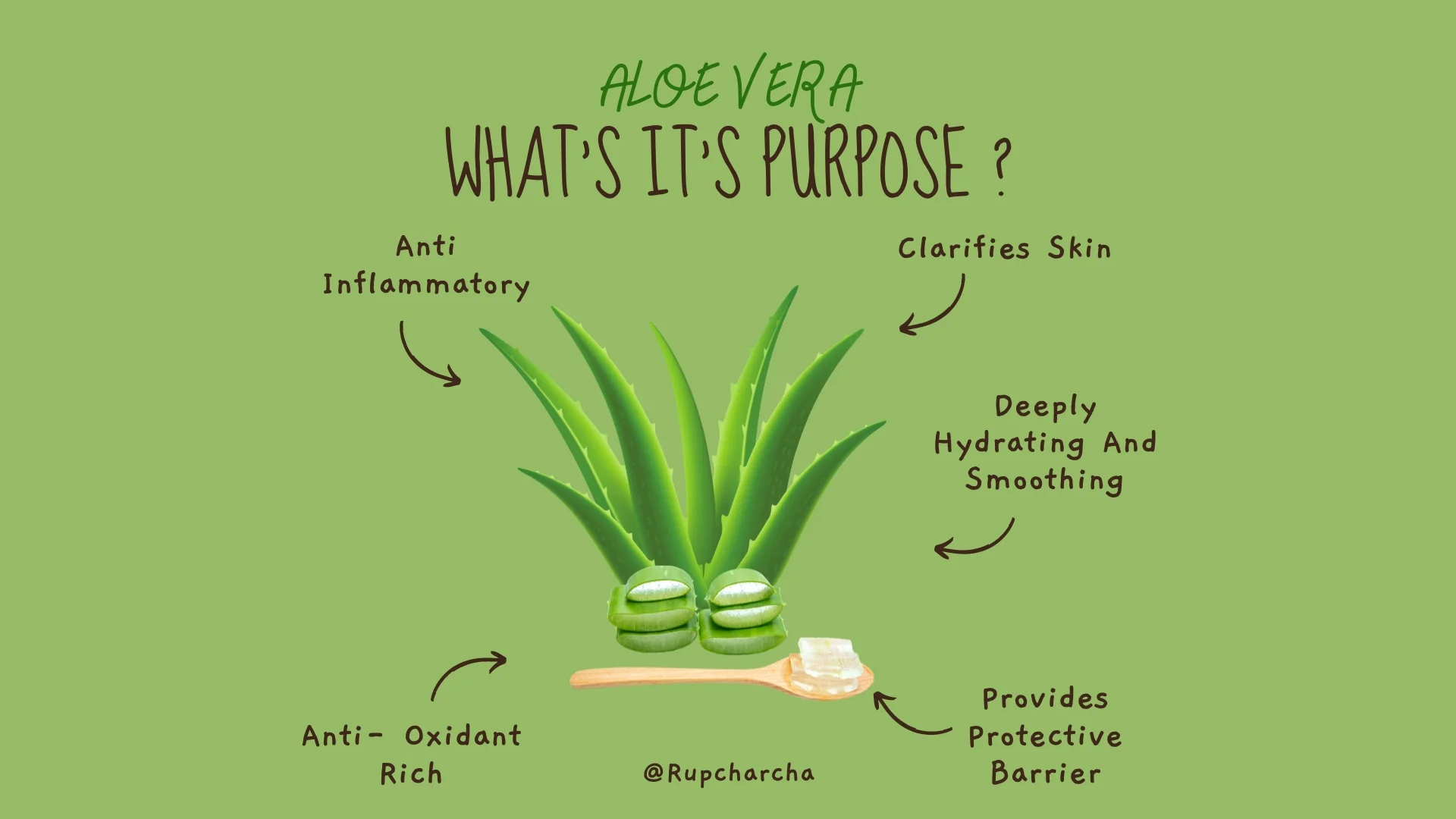 Aloe Vera for Your Face