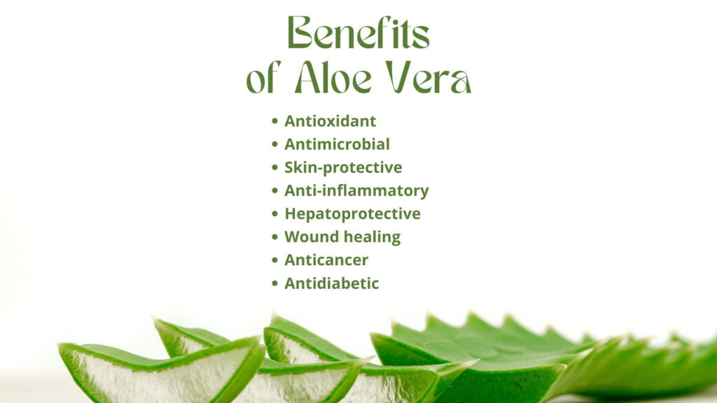Benefits of Aloe Vera