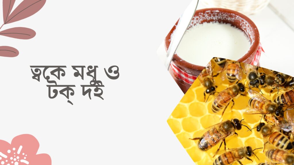 ত্বকে মধু ও টক্ দই